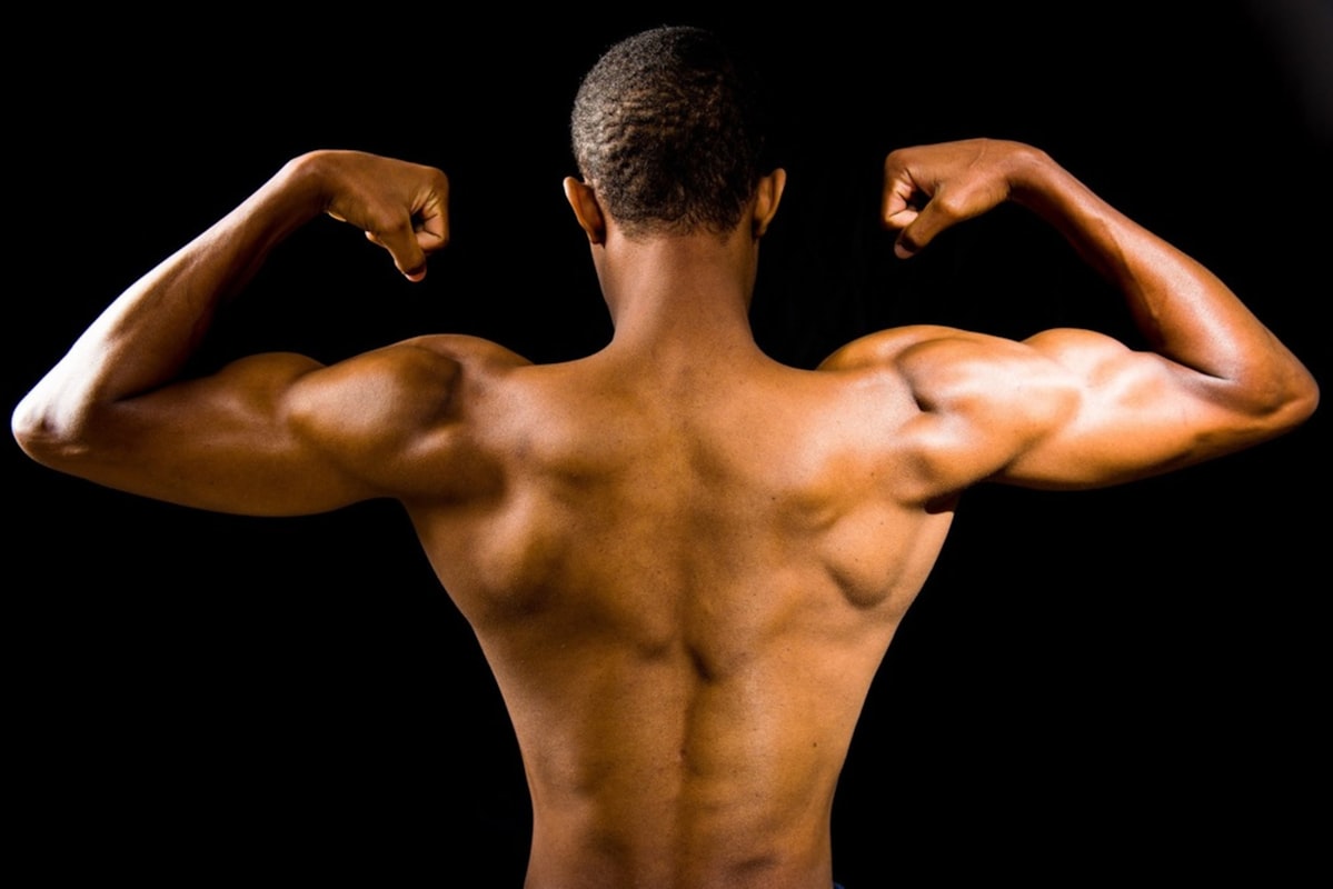 Protein sources comparison
